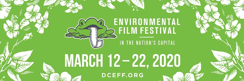 10 festivales y plataformas de cine gratis 14