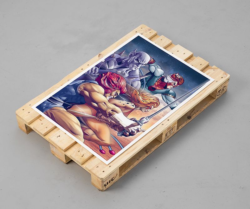 THUNDERCATS 5