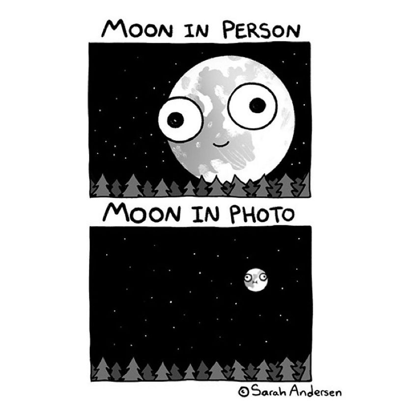 Sarah Andersen