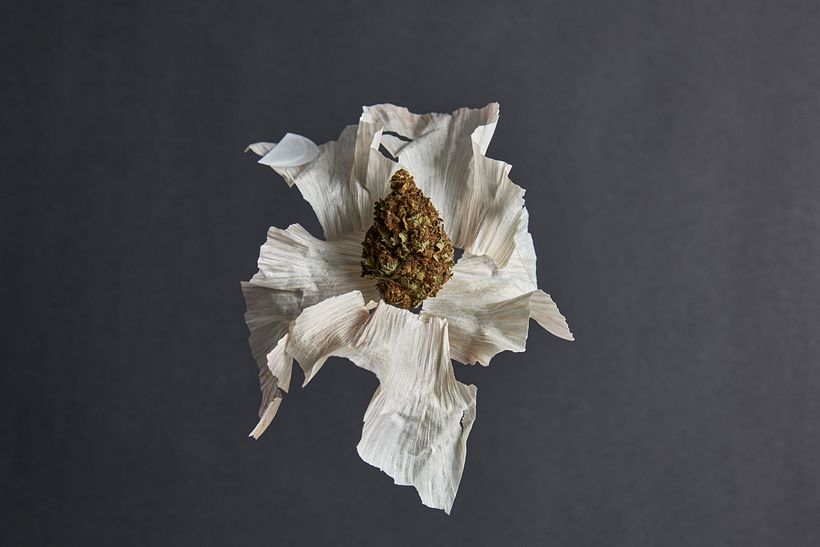 Bodegones - Prácticas -1