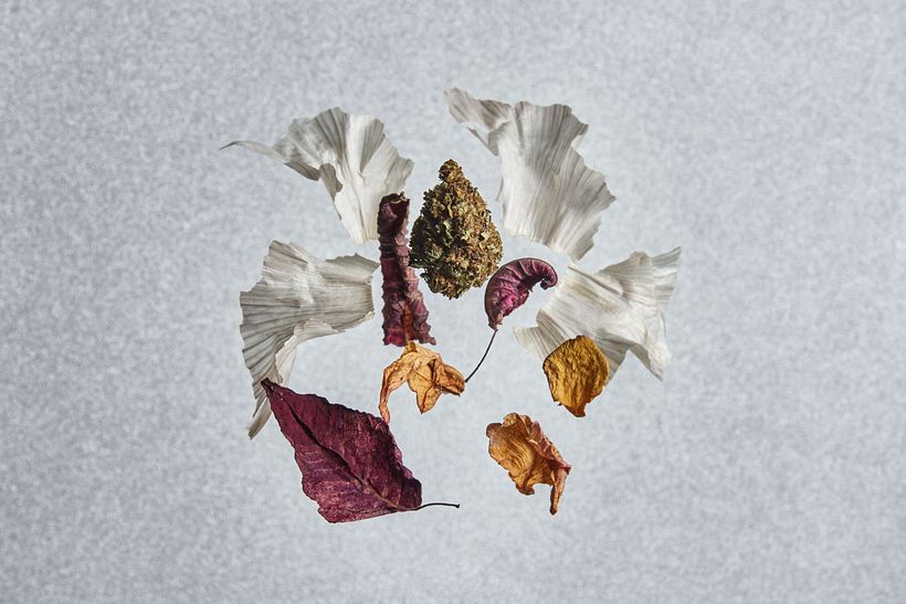 Bodegones - Prácticas 0