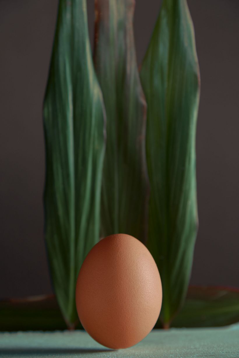 Bodegones - Prácticas 1