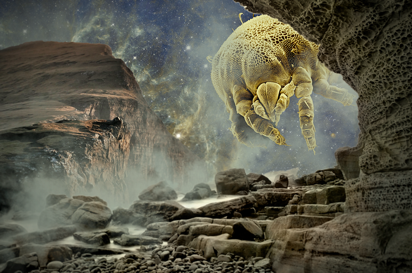 Mi Proyecto del curso: Matte Painting: creando mundos fotorrealistas -1