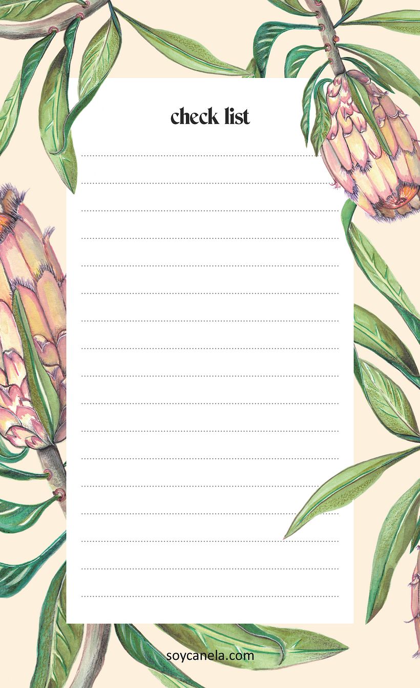 Protea ilustração botânica -1