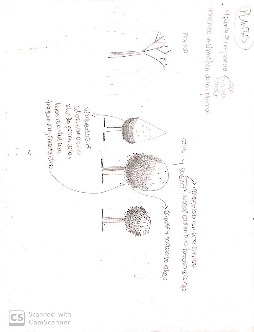 Mi Proyecto del curso: Dibujo para principiantes nivel -1 6