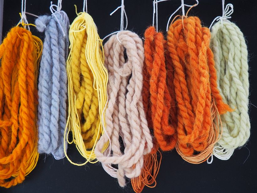 Espinacas, cebolla, curcuma, aguacate, , frijol