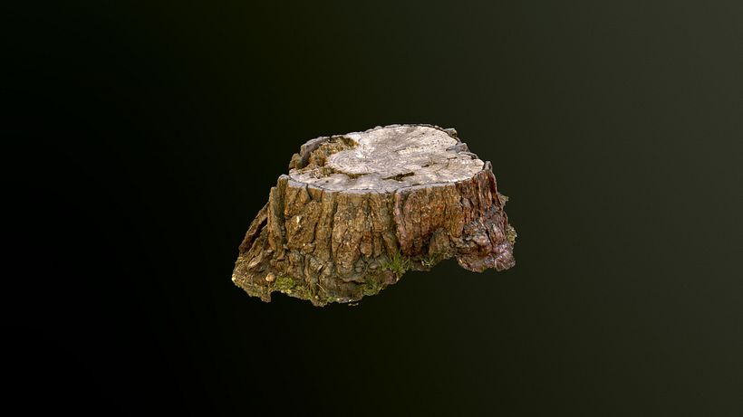 Mi Proyecto del curso: Fotogrametria 3D 1