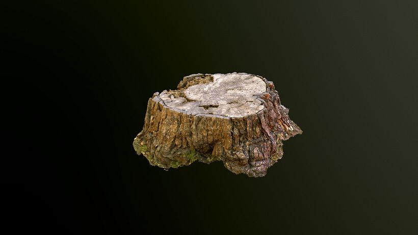 Mi Proyecto del curso: Fotogrametria 3D 3