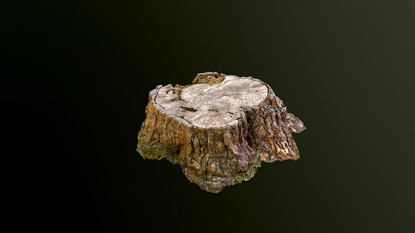 Mi Proyecto del curso: Fotogrametria 3D 2