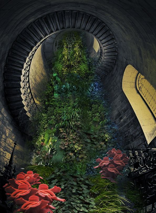 Diploma_collages 3