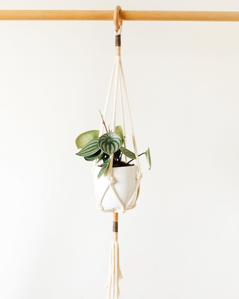 Colección Seven Wonders 1