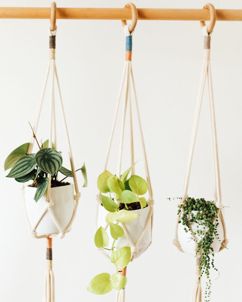 Colección Seven Wonders 2