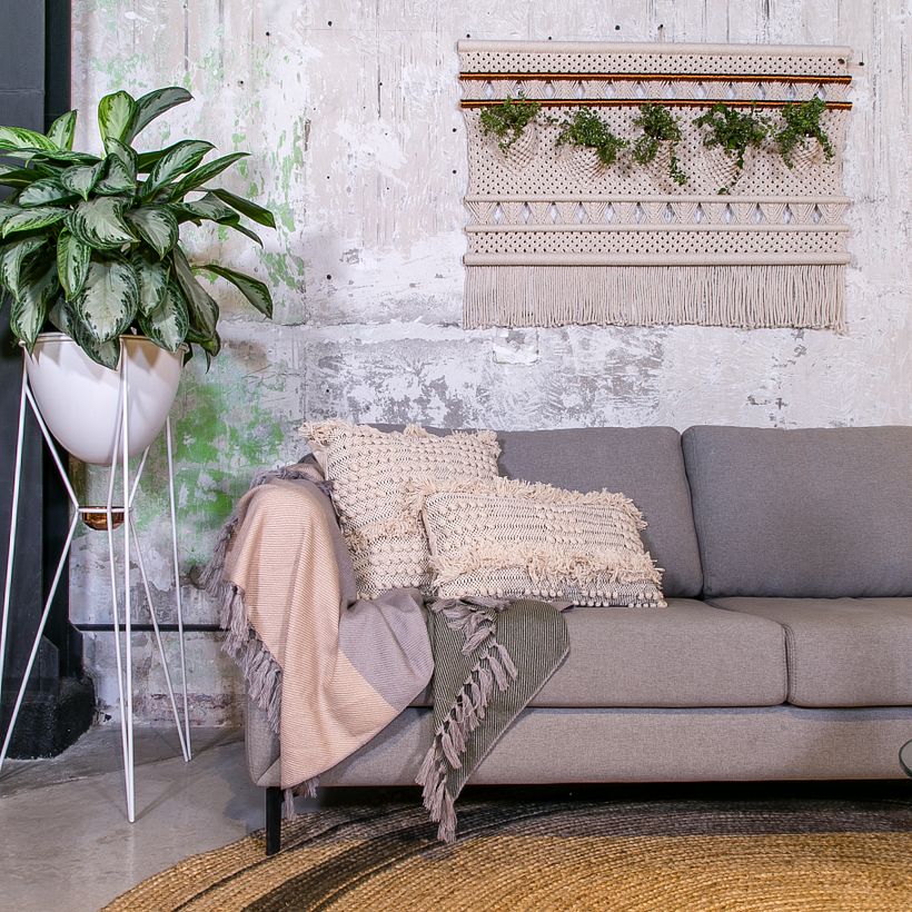 Series: Ancestral Dawn 0