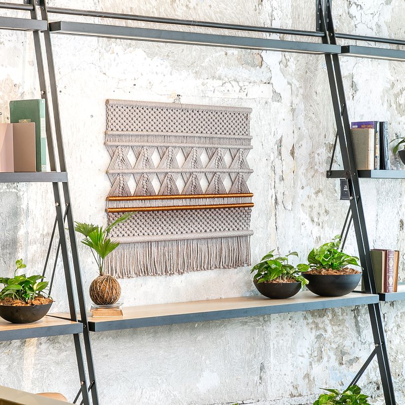 Series: Ancestral Dawn 8