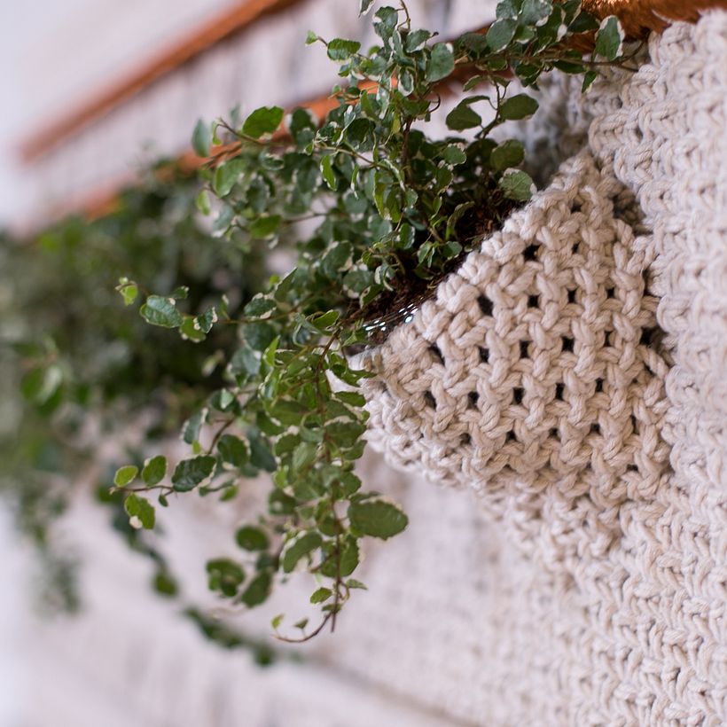 Series: Ancestral Dawn 15