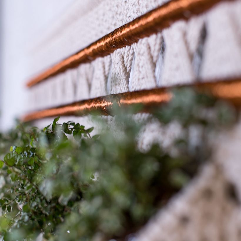 Series: Ancestral Dawn 16