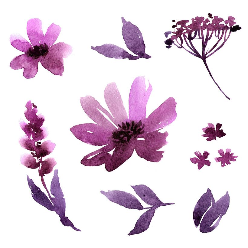 flores