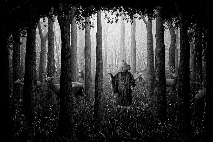 The Forest of Thorns