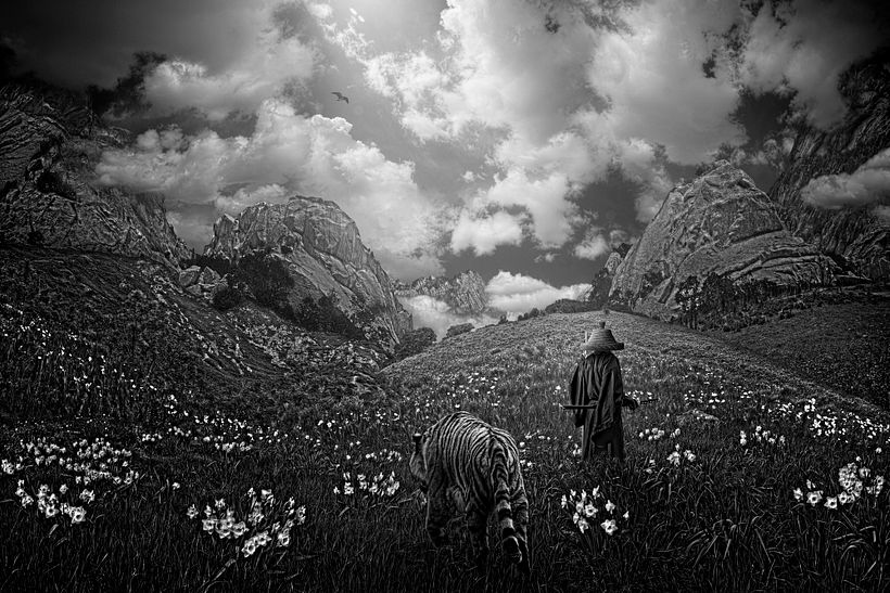 Flowers in the Sky