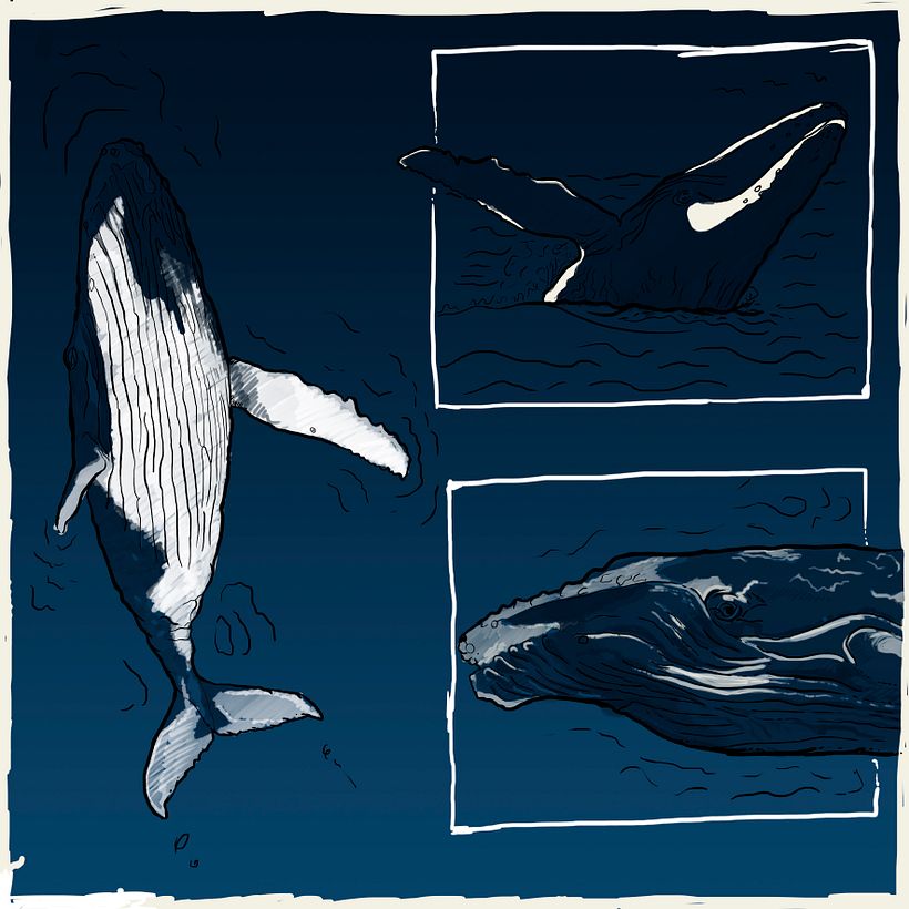 LLamando a la calma -1