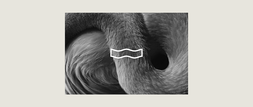Project in collaboration with Cristina Bonora
