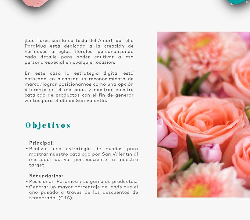 Plan de medios digitales Paramua 1