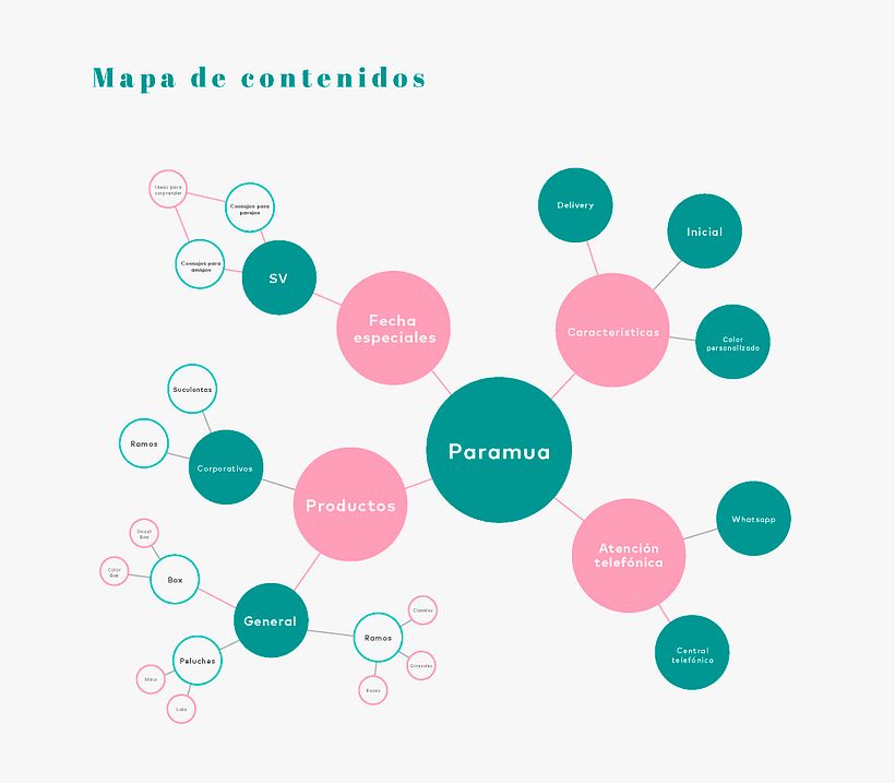 Plan de medios digitales Paramua 5