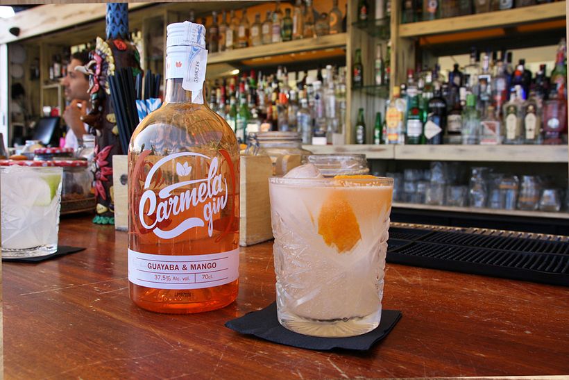 Carmela Gin 4