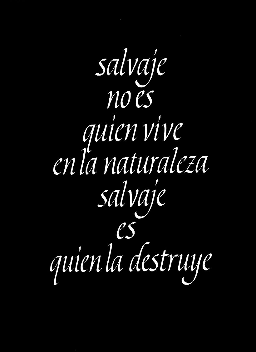 "SALVAJE" - Mi Proyecto del curso 2