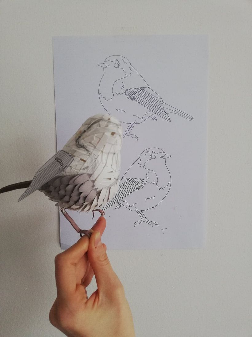Meu projeto no curso Técnicas Avançadas de Papercraft: Projetando com Papel 2
