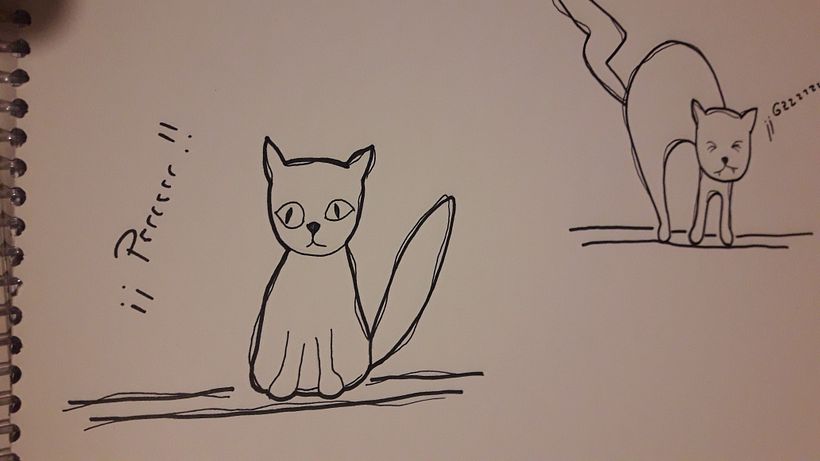 Proyectos anteriores -1