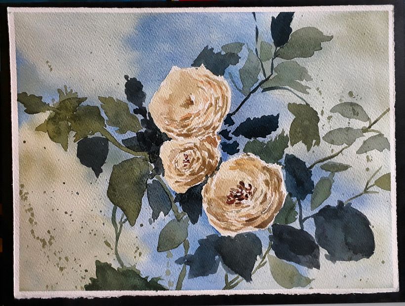 Rosas