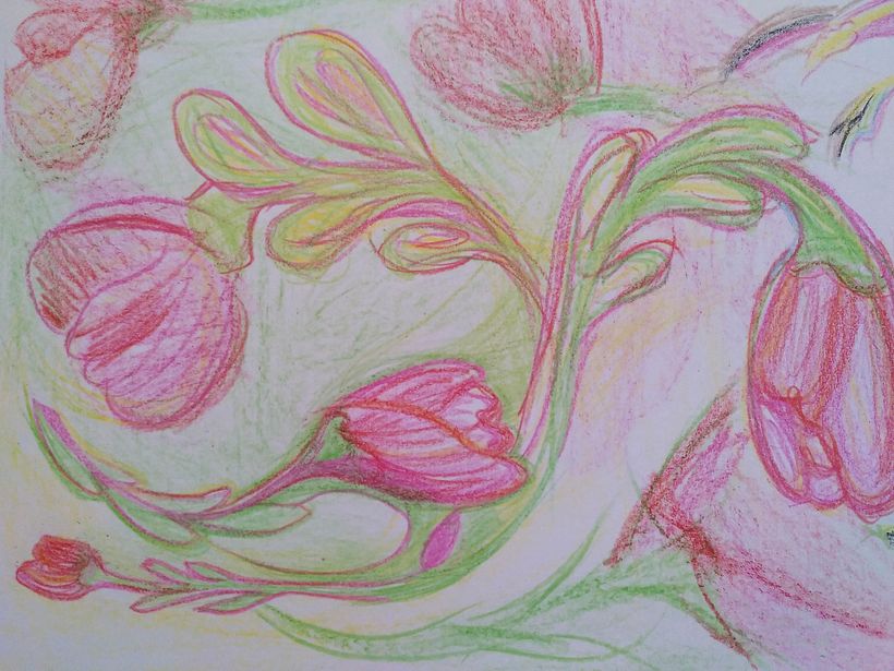 dibujando flores