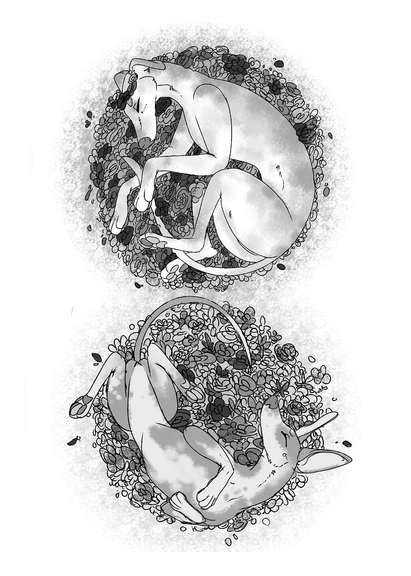 proyecto "fanzine galgos" 