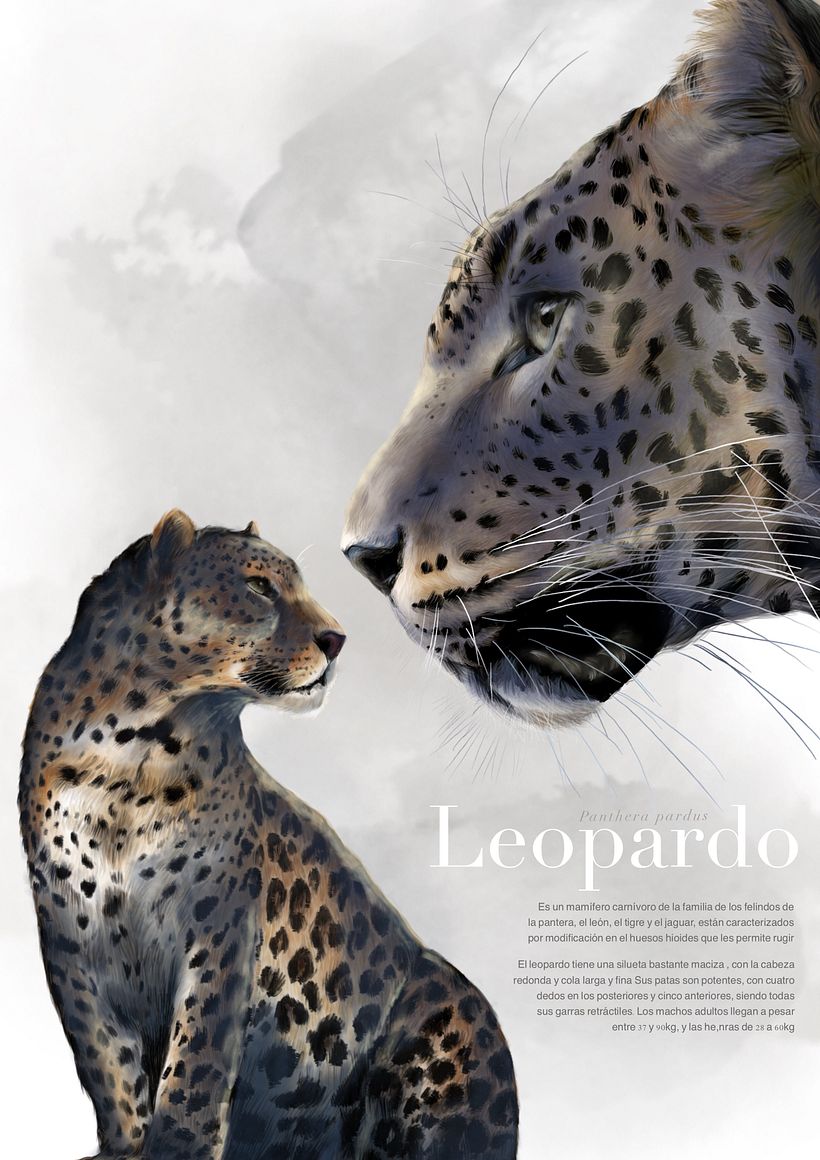 Leopardo 0