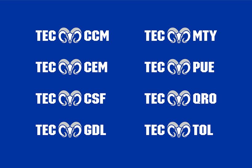 Borregos Tec 3