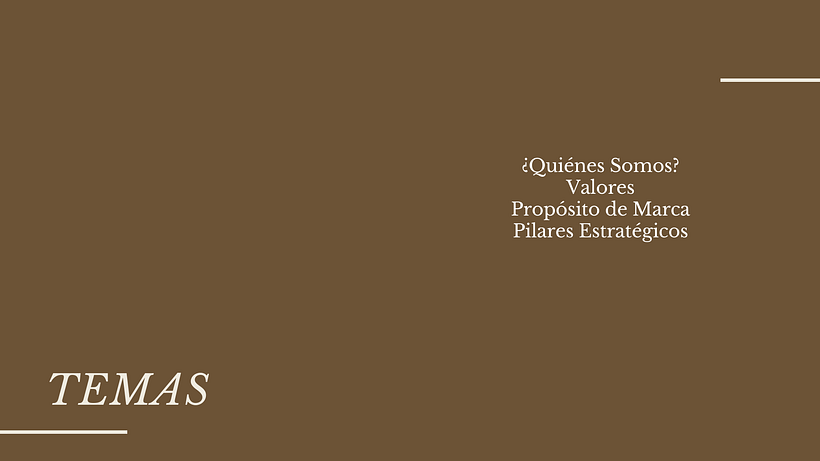Mi Proyecto del curso: Desarrollo de una marca atractiva y responsable 1