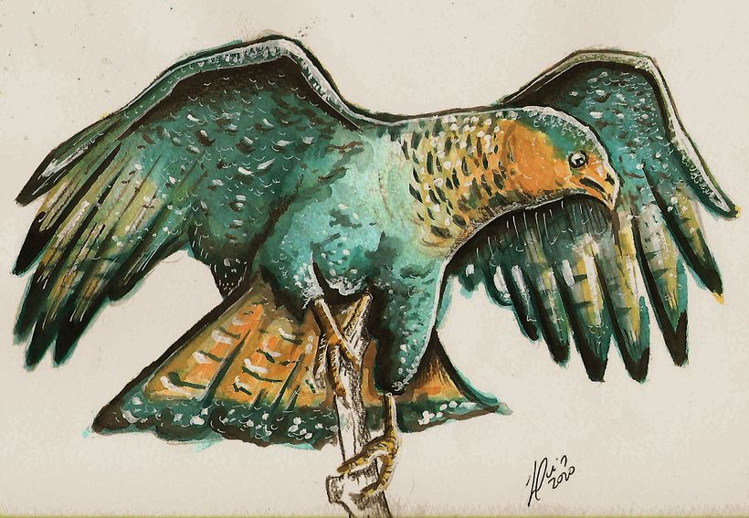 Arte Final do Carcará. Siga-me no insta: @art.luisaraujo