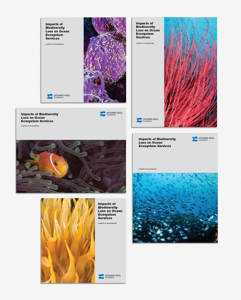 Oceano Azul Foundation 3