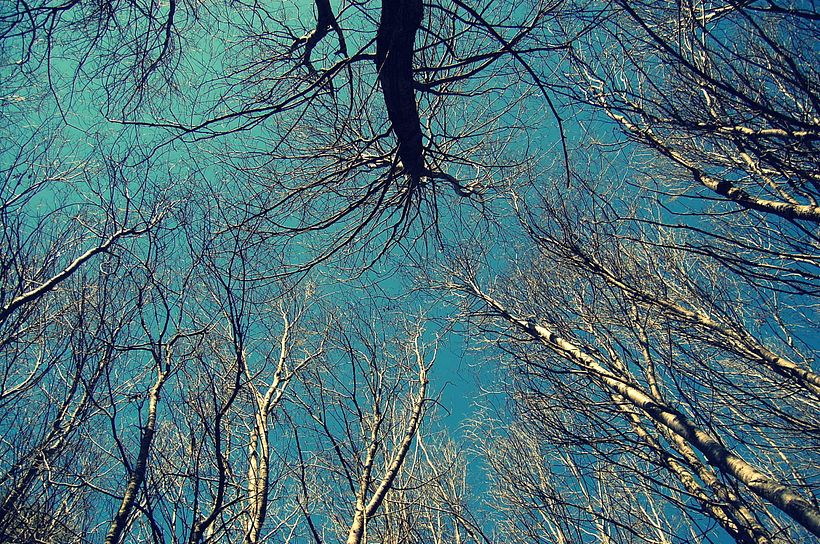 Fotrografías, detalles. 1