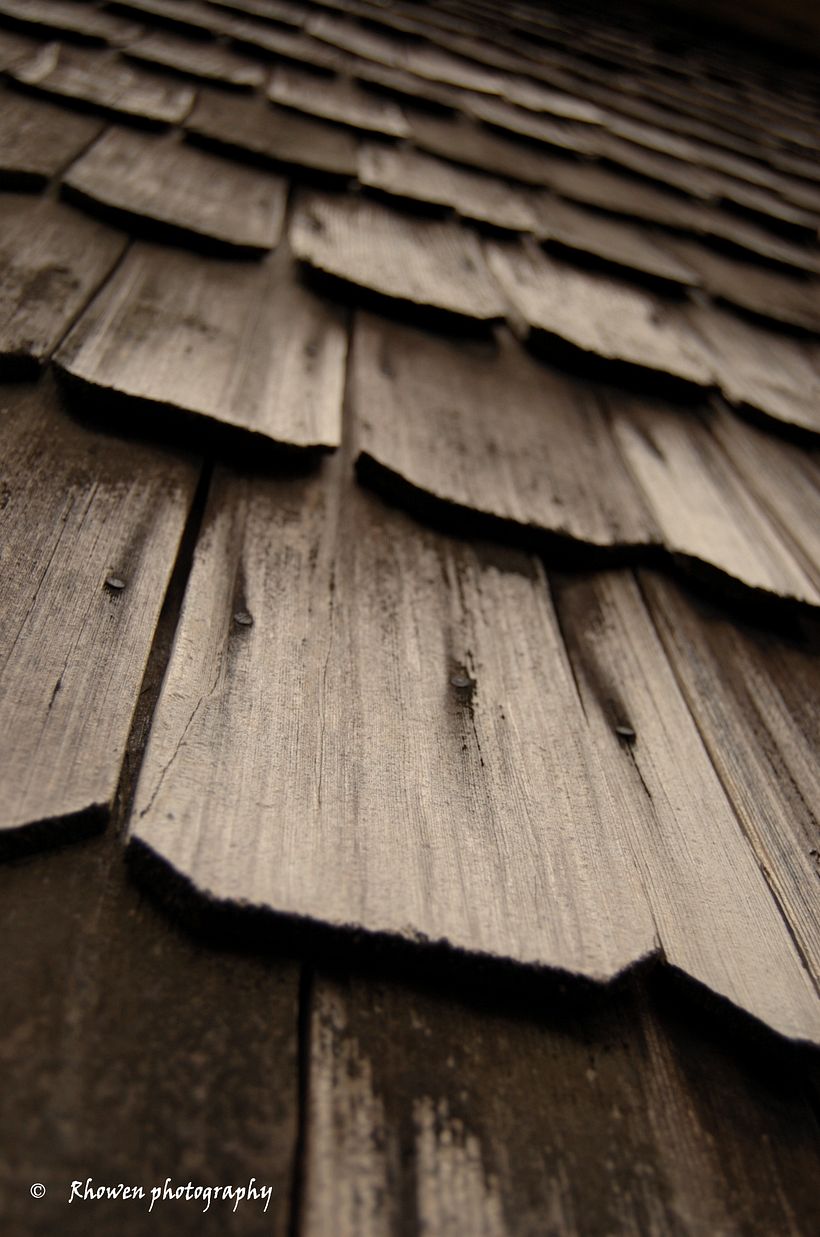 Fotrografías, detalles. 2