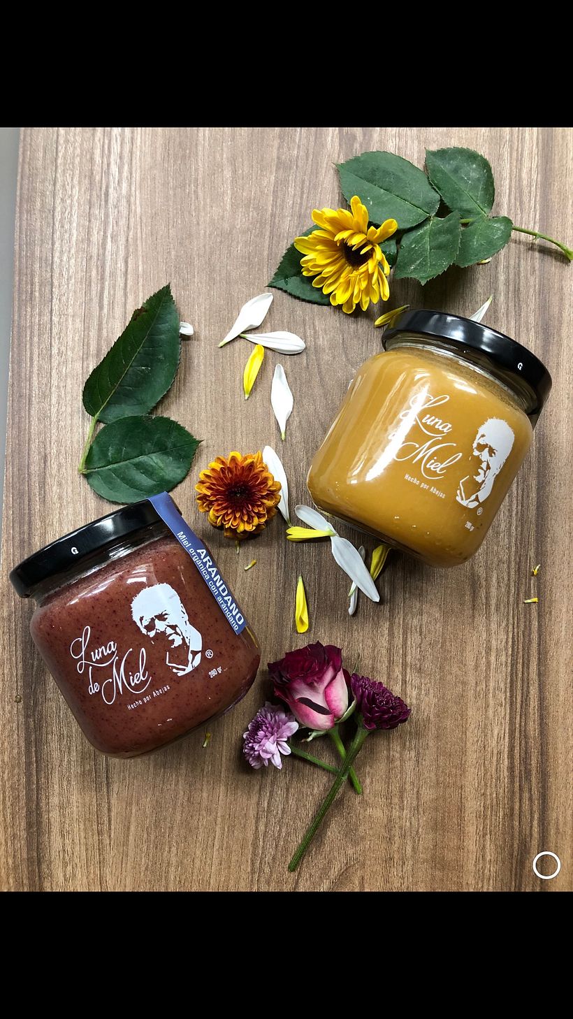 Mi Proyecto del curso: Fotografía profesional para Instagram 0