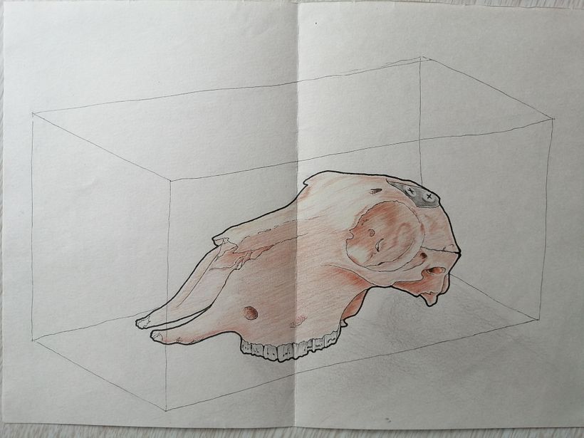 Comparte tu sketchbook con la comunidad 1