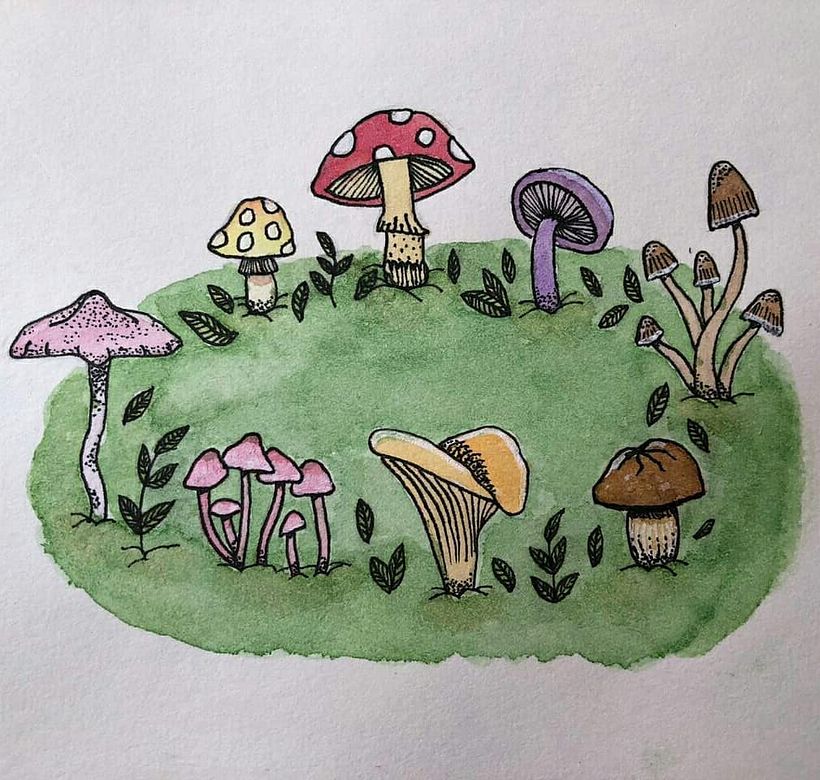 Ig @heyheynature