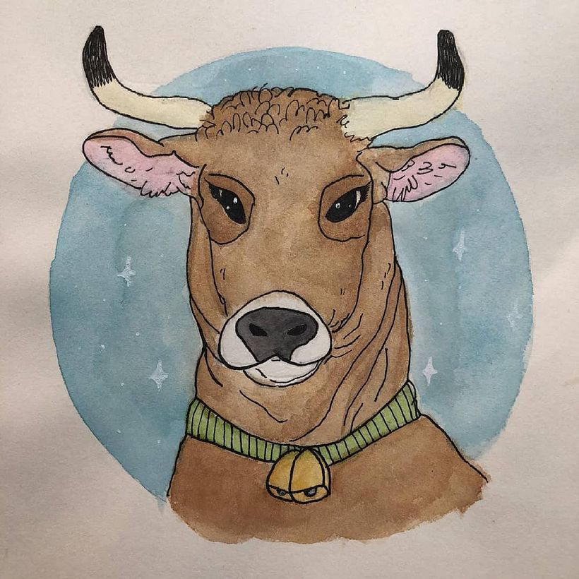 Ig @heyheynature