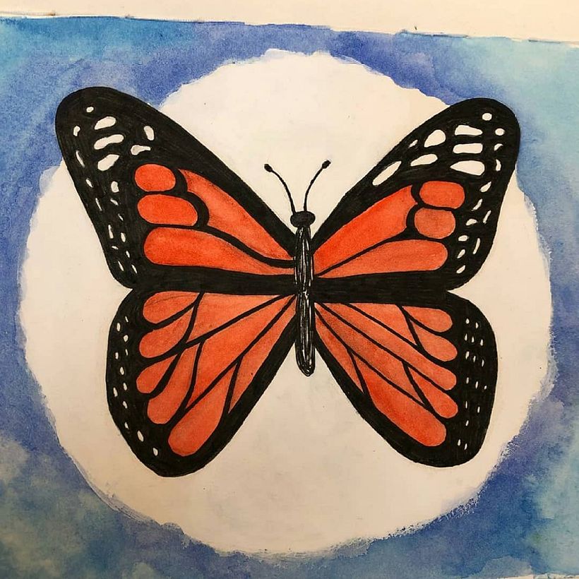 Ig @heyheynature