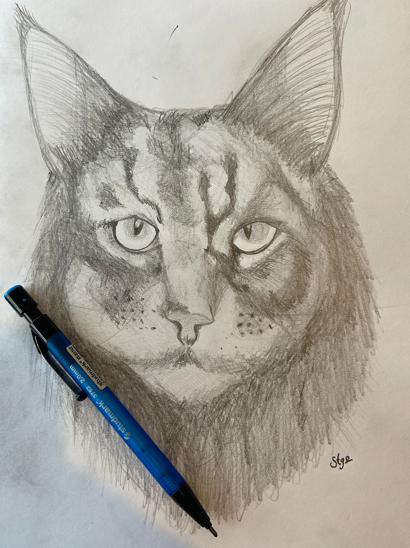 Comparte tu sketchbook con la comunidad 0