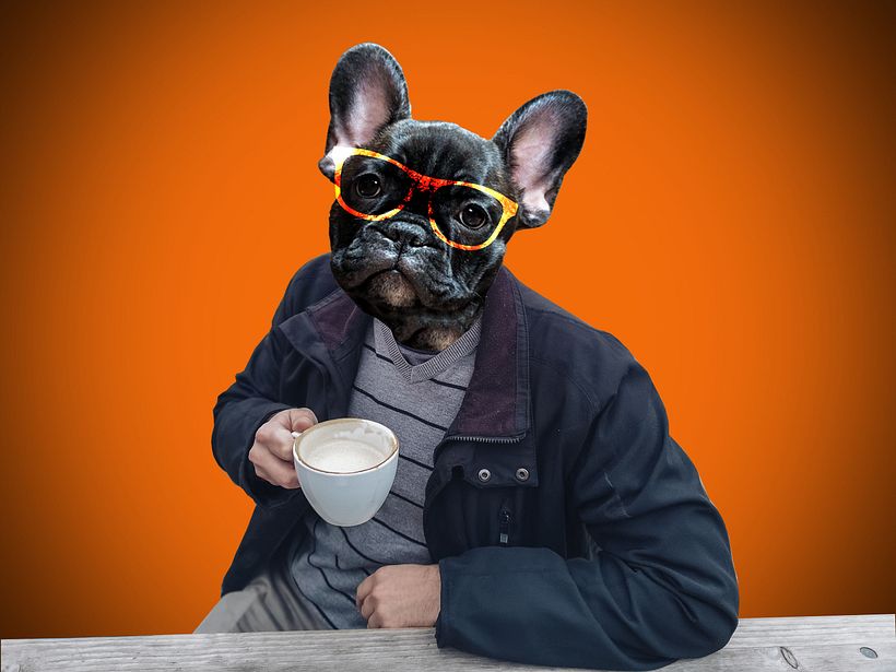 Coffee 0