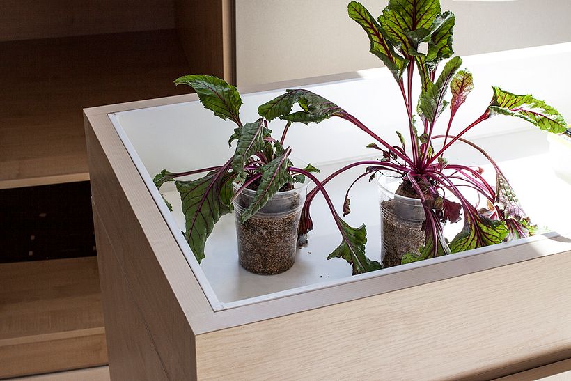 La Remolacha HackLab 4