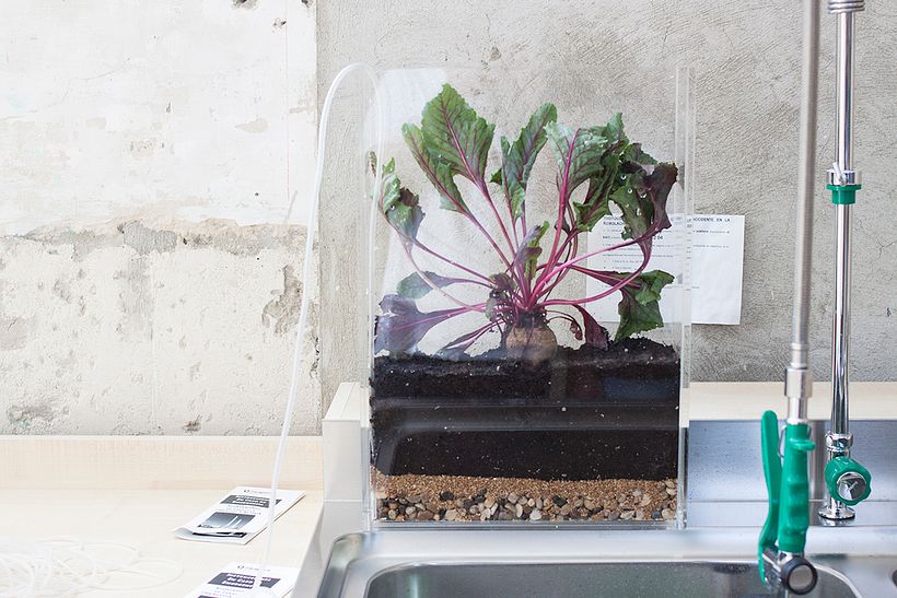 La Remolacha HackLab 5